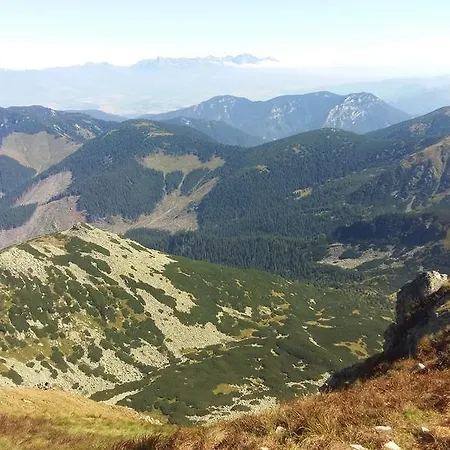 Danka * Pavčina Lehota