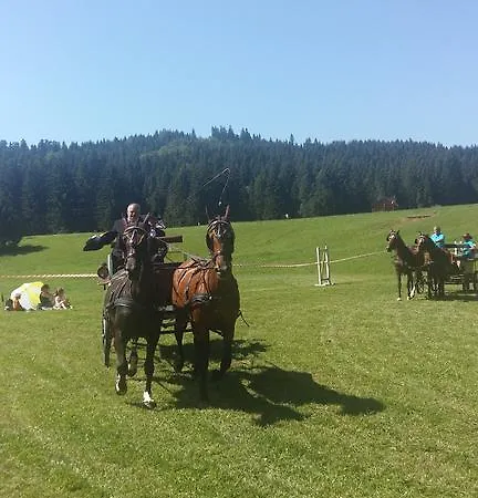 Danka Διαμέρισμα *