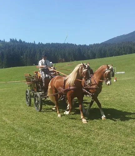 Danka *